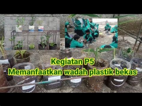 Contoh Kegiatan P Kelola Plastik Untuk Bumi Lestari Memanfaatkan