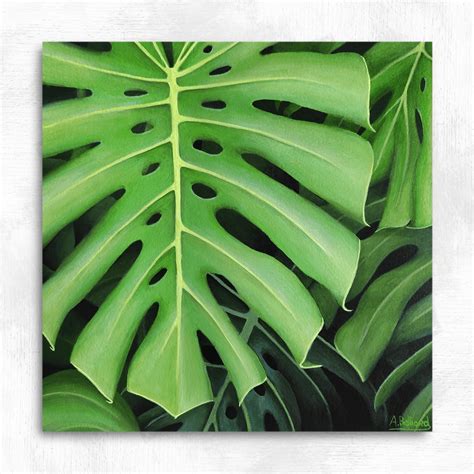 Tableau Feuillage Tropical Monstera Deliciosa Ambiance Sauvage