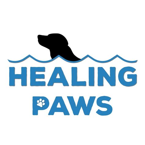 Bookmark These 11 Pet Related Services In Kl And Pj You Never Know When