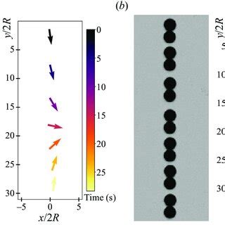 Two Representative Examples Of The Particle Trajectories In Our Single