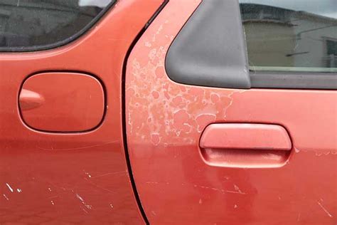 Paint Peeling Off Car How To Fix