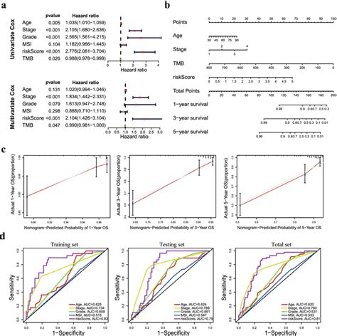 Identification Of Independent Prognostic Factors And Establishment Of