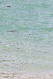 Tulisa Contostavlos Bikini Candids Bermuda Beach August