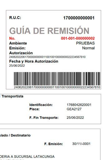 Cómo Generar Una Guía De Remisión Electrónica En Ecuador