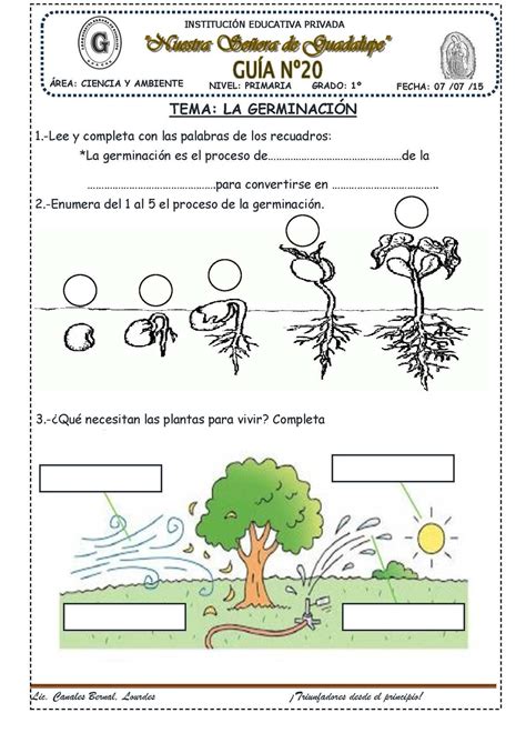 La Germinaci N Ahora En N Digital Magazine Interactive Reading