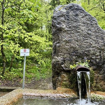 Glasbrunnen Im Bremgartenwald Trinkwasserqualit T Nicht Sichergestellt