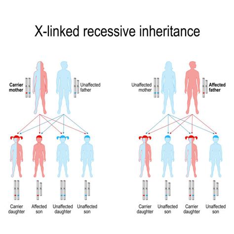 Recessive Gene