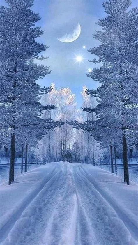 Winter Scenes: Beautiful Nature Pictures