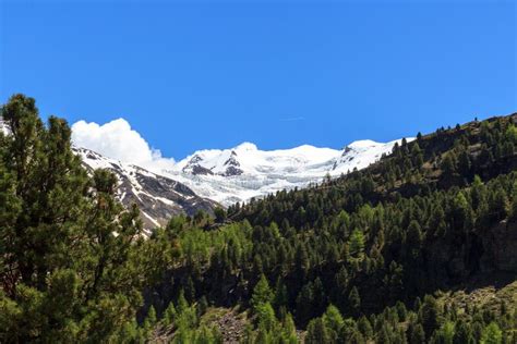 Panorama De Palon De La Mare De Glacier Et De Montagne De Forni Dans