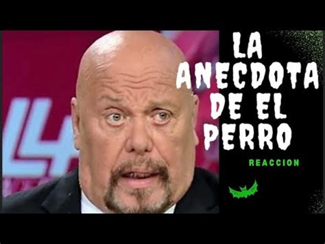 La Historia De El Perro Bermudez YouTube