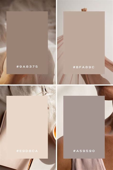 Neutral Aesthetic Color Palette With Hex Codes Beier Branding In 2024