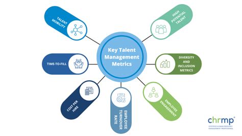 7 Key Talent Management Metrics Every Hr Should Follow