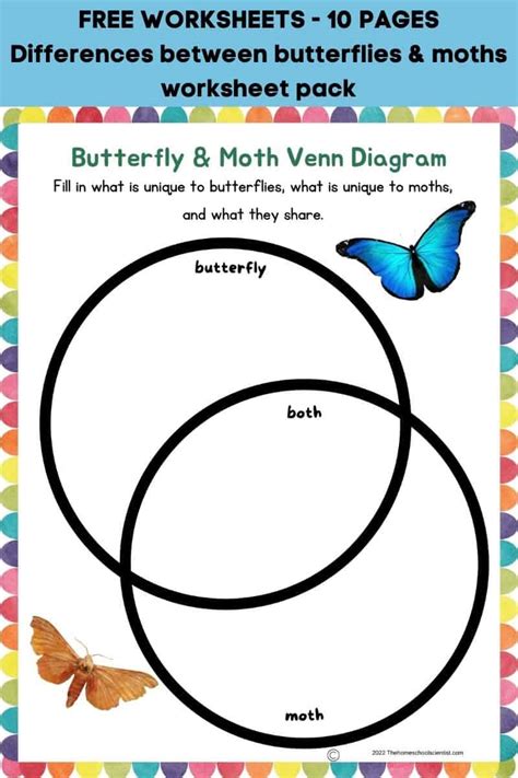 Differences Between Butterflies and Moths Worksheet - The Homeschool Scientist