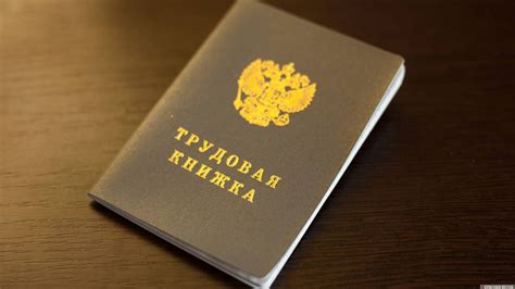 В России бумажные трудовые книжки уйдут в прошлое | ИА Красная Весна