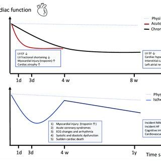 Pdf Strokeheart Syndrome Recent Advances And Challenges