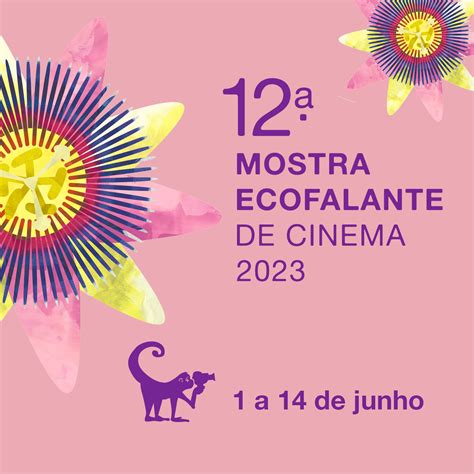 Accountability E Justi A Ambiental Mostra Ecofalante De Cinema