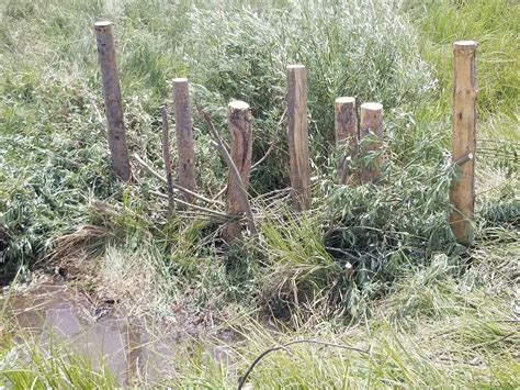 Low-Tech Restoration — Sublette County Conservation District