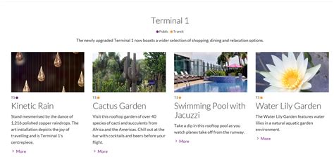 How to Improve the Airport Experience and Increase Revenues - Prolitec