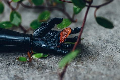 Premium Photo Close Up Of Black Hand Of Robot Holding Dead Leaf On