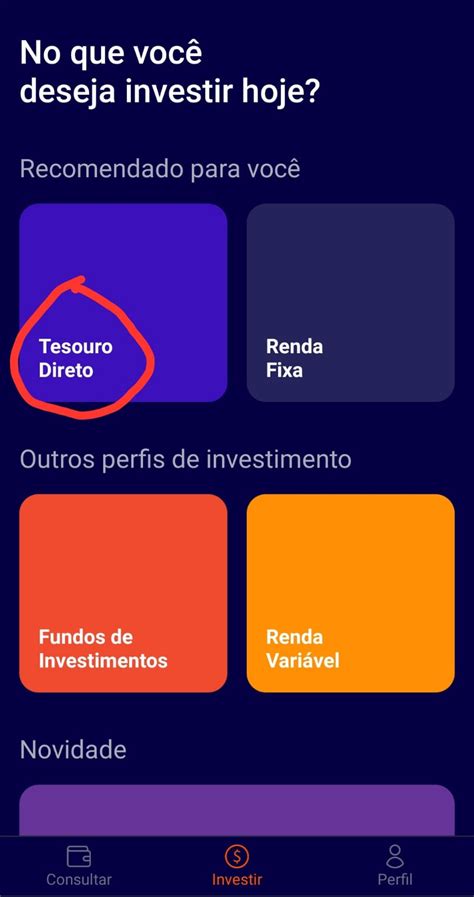 Como Investir No Tesouro Direto Pela Rico Em Passos Simples