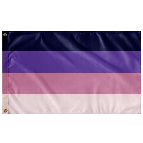 Ace Spec Pride Wall Flag Single Reverse 36x60 Aro Etsy