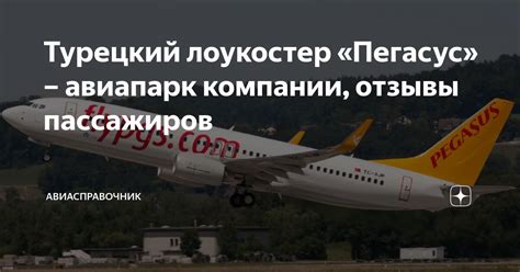 Турецкий лоукостер «Пегасус» – авиапарк компании, отзывы пассажиров ...