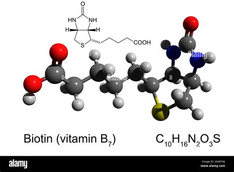 Vitamina B Molecular Modelo De Biotina Fotograf As E Im Genes De Alta