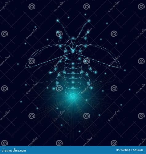 Firefly Luminous Glowworm Cartoon Vector 110892397