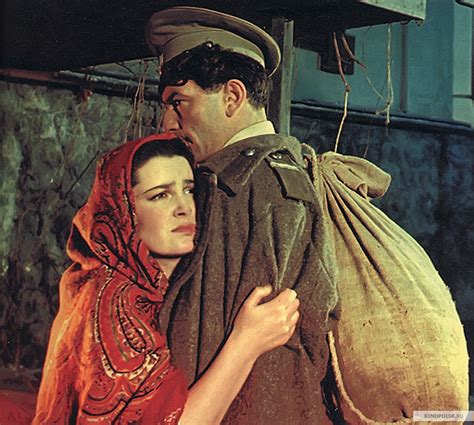 Фото: Тихий Дон / Кадр из фильма «Тихий Дон» (1957) #3543993
