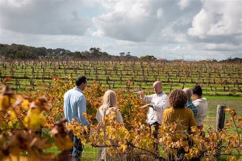 Full Day Tour Of Margaret River And Its Local Producers 2024