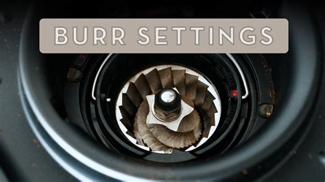 Breville Grinder Troubleshooting Guide Diy Fix Tips Off