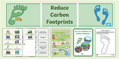 Carbon Footprint Display Pack Teacher Made Twinkl