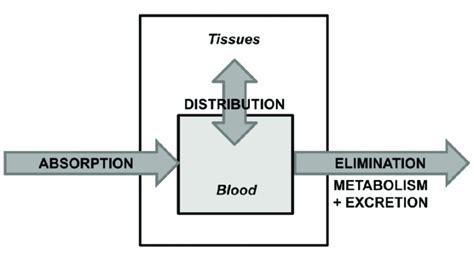 Medicinal Chemistry Lead Modification And Optimization Ftloscience