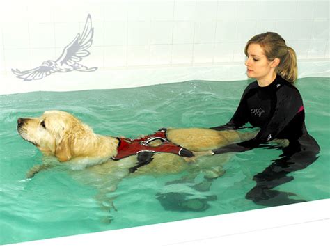 Hydrotherapy Pool - Hawksmoor Hydrotherapy