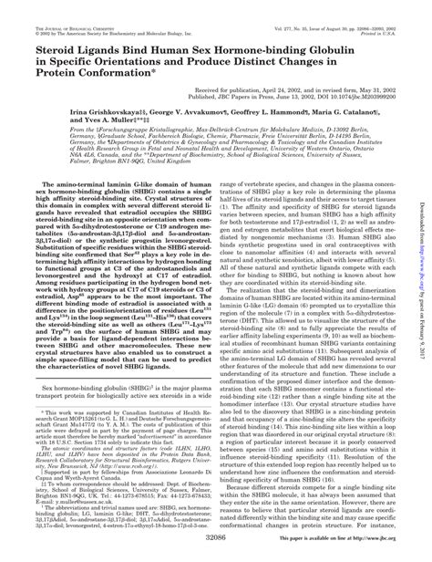 Pdf Steroid Ligands Bind Human Sex Hormone Binding Globulin In Specific Orientations And