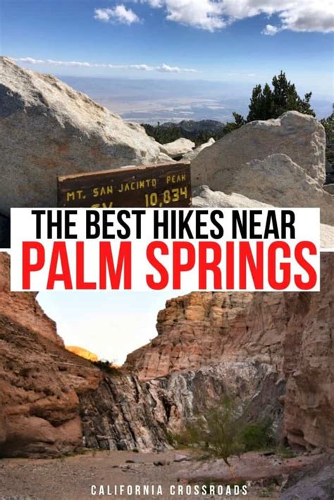 6 Exciting Palm Springs Hikes for Your Next Getaway - California Crossroads