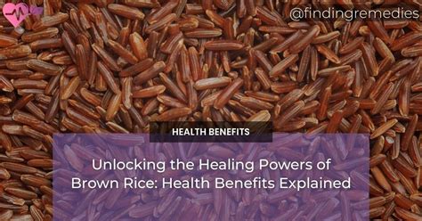 Unlocking The Healing Powers Of Brown Rice Health Benefits Explained