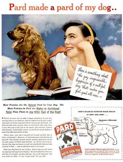 Vintage Dog Food 40 Old Ads Let You See Whats Changed And Hasnt