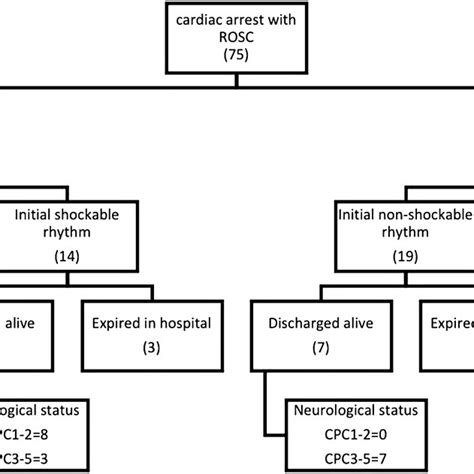 Average Power Of The Four Frequency Bands Of Eeg Spectral Analysis In Download Scientific