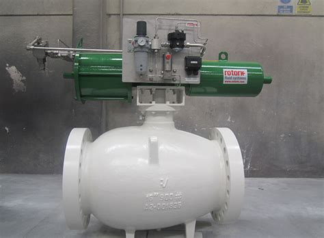 Axial Control Valves Ringo Valves