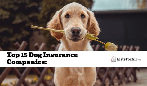 Best Dog Insurance Companies The Top 15 List