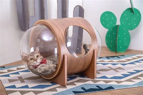 Spaceship Inspired Cat Beds That Cost Pics