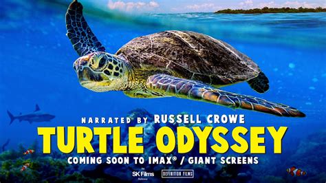 Turtle odyssey 3 fshare - polizhealthcare