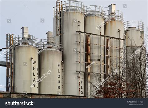 13 Burtons Biscuits Images, Stock Photos & Vectors | Shutterstock