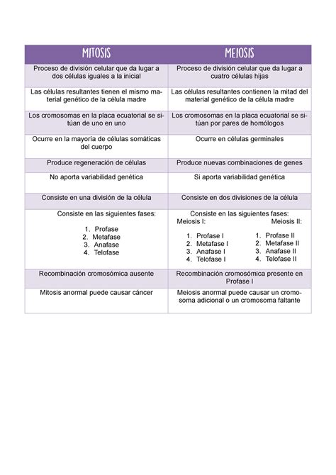 Cuadro Comparativo De Mitosis Y Meiosis Proceso De División Celular