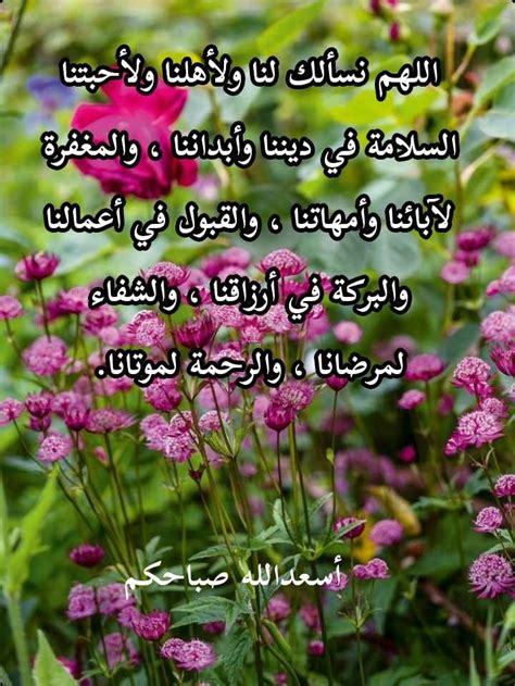 Pin By Aicha Rochdi On Bonjour En Arabe Sabah Elkheir Herbs Plants