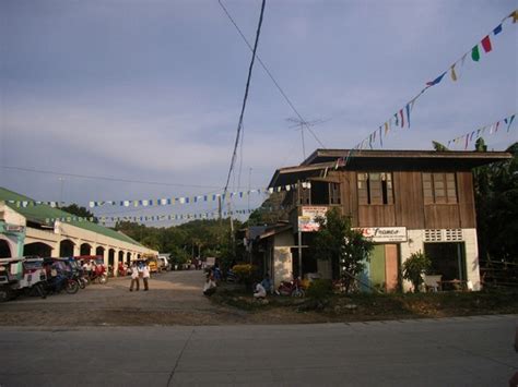 Loon philippines Photos in .jpg format free and easy download unlimit ...