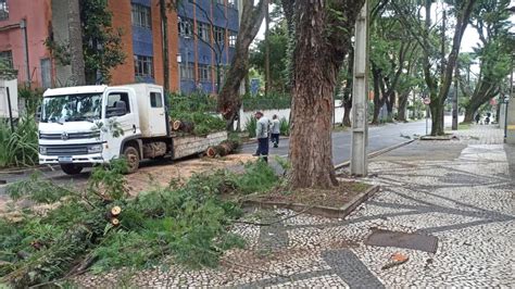 Queda De Rvore Interdita Rua Do Batel