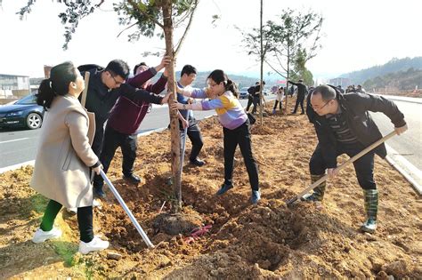 贵州黎平：春节上班第一天 义务植树增绿忙工作活动绿化