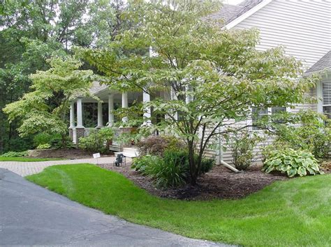 Trees And Shrubs For Landscaping Trees And Shrubs Gallery Click